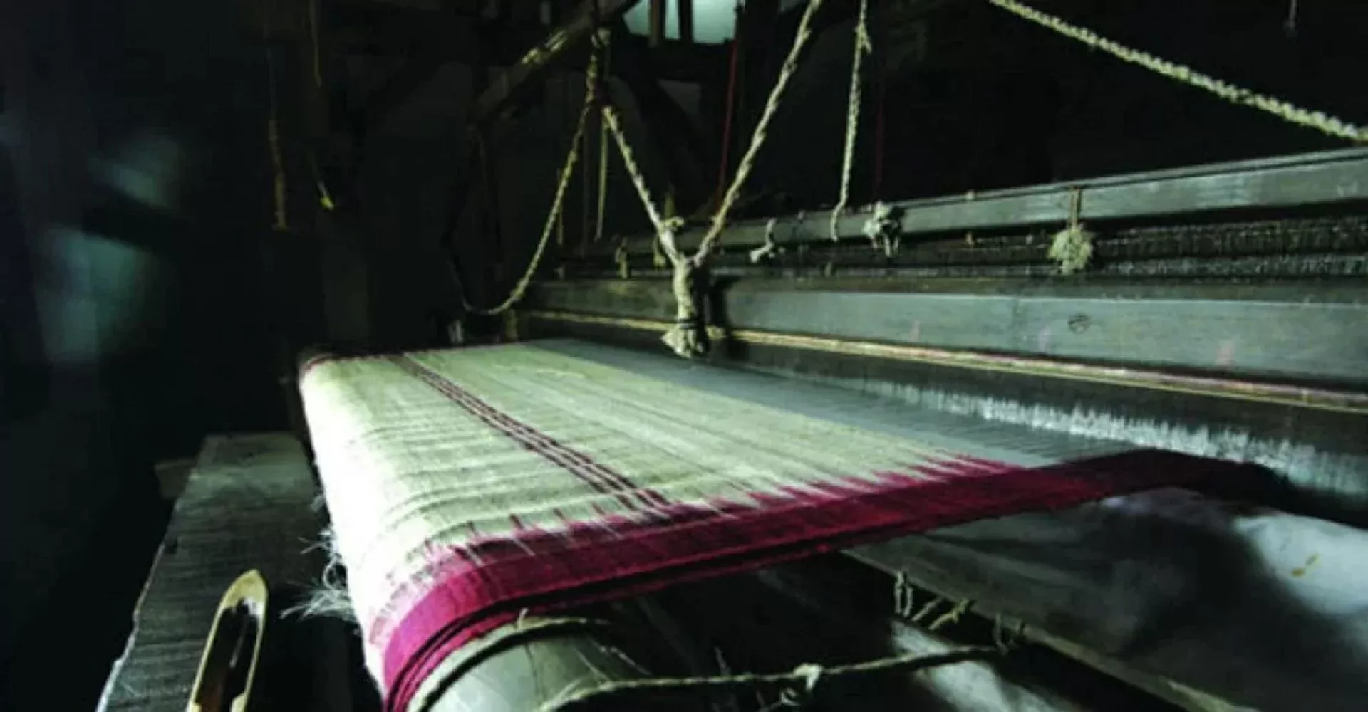 Famous Kosa Silk Champa